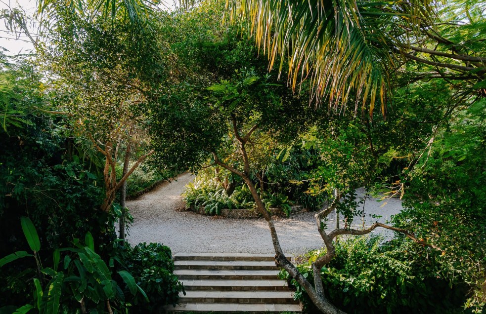 Garden path winding through Zuri's tropical grounds